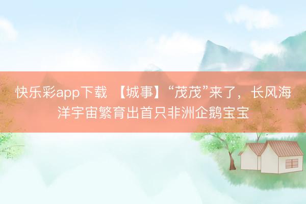快乐彩app下载 【城事】“茂茂”来了，长风海洋宇宙繁育出首只非洲企鹅宝宝