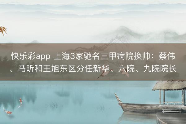 快乐彩app 上海3家驰名三甲病院换帅：蔡伟、马昕和王旭东区分任新华、六院、九院院长