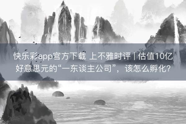 快乐彩app官方下载 上不雅时评 | 估值10亿好意思元的“一东谈主公司”，该怎么孵化？