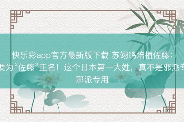 快乐彩app官方最新版下载 苏翊鸣培植佐藤：我要为“佐藤”正名！这个日本第一大姓，真不是邪派专用