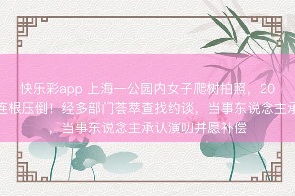 快乐彩app 上海一公园内女子爬树拍照,20年树龄樱花树被连根压倒!经多部门荟萃查找约谈,当事东说念主承认演叨并愿补偿
