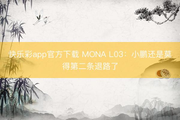 快乐彩app官方下载 MONA L03:小鹏还是莫得第二条退路了