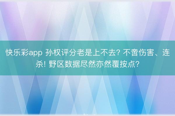 快乐彩app 孙权评分老是上不去? 不啻伤害、连杀! 野区数据尽然亦然覆按点?