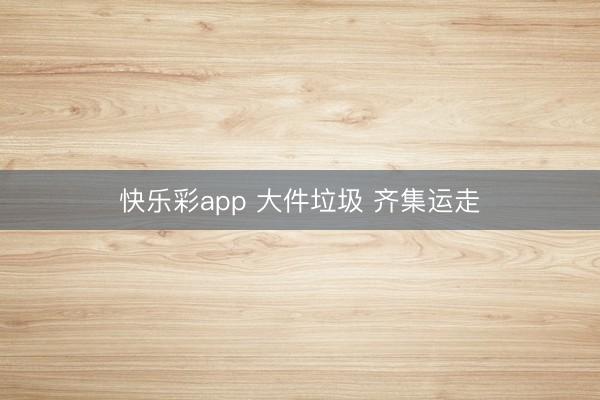 快乐彩app 大件垃圾 齐集运走