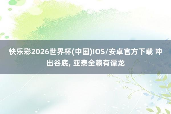 快乐彩2026世界杯(中国)IOS/安卓官方下载 冲出谷底， 亚泰全赖有谭龙