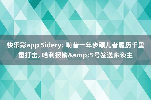 快乐彩app Sidery: 畴昔一年步碾儿者履历千里重打击， 哈利报销&5号签送东谈主