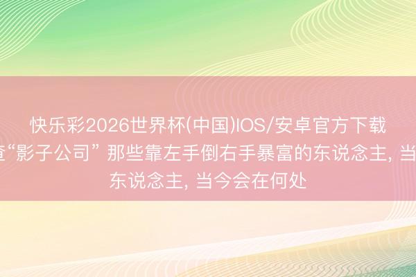 快乐彩2026世界杯(中国)IOS/安卓官方下载 若当年严查“影子公司” 那些靠左手倒右手暴富的东说念主， 当今会在何处