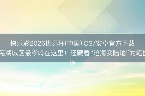 快乐彩2026世界杯(中国)IOS/安卓官方下载 芜湖城区最岑岭在这里！还藏着“沧海变陆地”的笔据