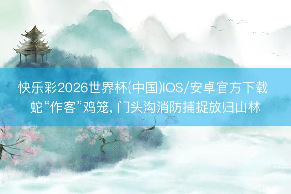 快乐彩2026世界杯(中国)IOS/安卓官方下载 蛇“作客”鸡笼， 门头沟消防捕捉放归山林
