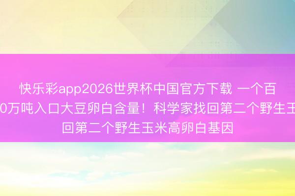 快乐彩app2026世界杯中国官方下载 一个百分点约即是800万吨入口大豆卵白含量！科学家找回第二个野生玉米高卵白基因