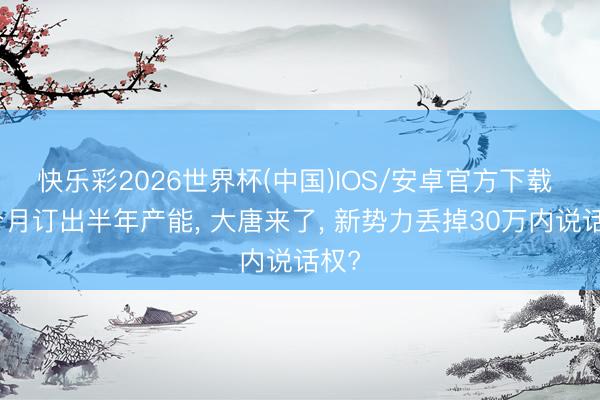 快乐彩2026世界杯(中国)IOS/安卓官方下载 两个月订出半年产能， 大唐来了， 新势力丢掉30万内说话权?